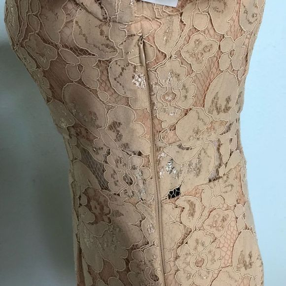 Beautiful NWT NSR Dress - Picture 6 of 14